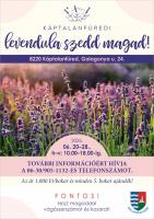 Szedd magad Levendula, Balatonalmádi