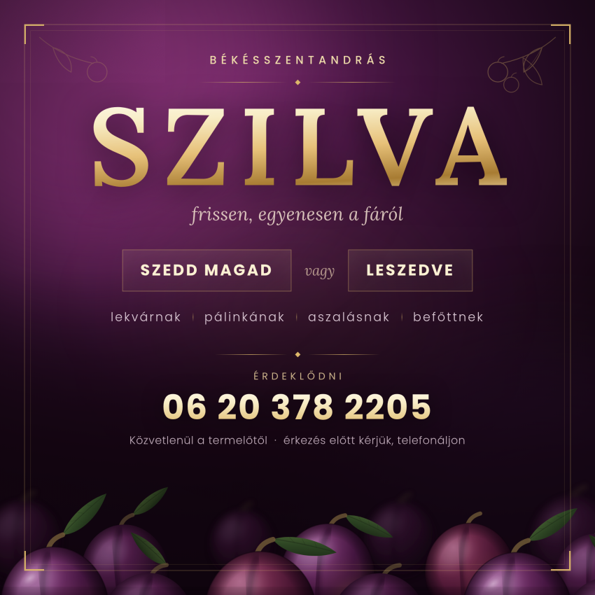 Szedd magad Szilva, Békésszentandrás településen 2026 évben
